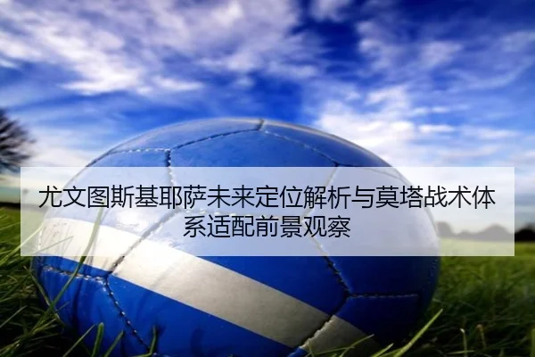 you-wen-tu-si-ji-ye-sa-wei-lai-ding-wei-jie-xi-yu-mo-ta-zhan-shu-ti-xi-shi-pei-qian-jing-guan-cha-2-669.jpg