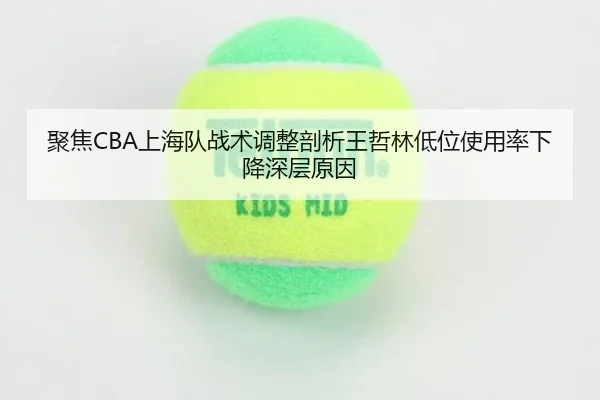 聚焦CBA上海队战术调整剖析王哲林低位使用率下降深层原因
